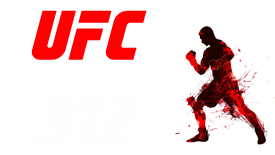 UFC 312 2025-02-08